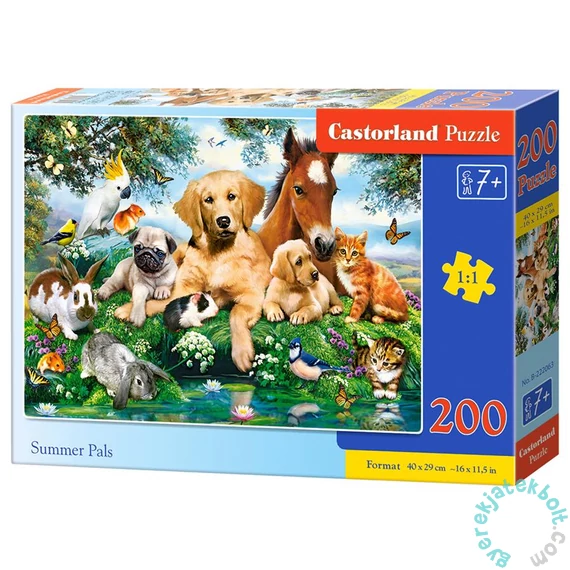 Castorland 200 db-os puzzle - Nyári cimborák (B-222063)