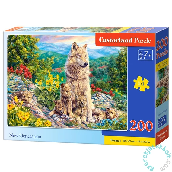 Castorland 200 db-os puzzle - Új generáció (B-222087)