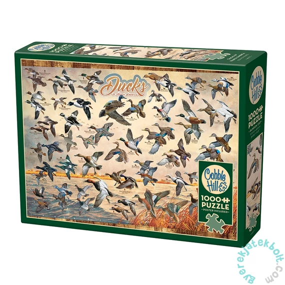 Cobble Hill 1000 db-os puzzle - Ducks of North America (40177)