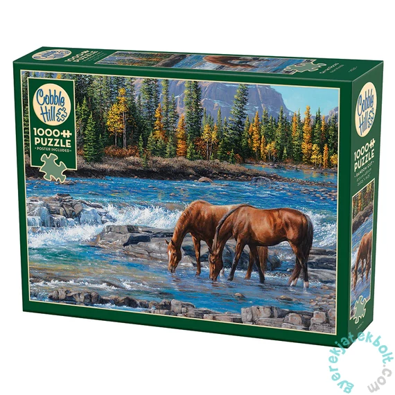 Cobble Hill 1000 db-os puzzle - On the Rocks (40267)