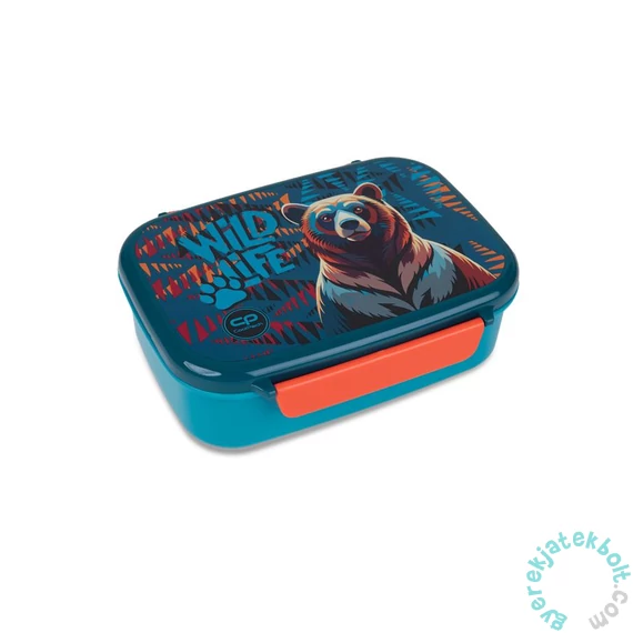 Coolpack - Foodyx műanyag uzsonnás doboz - Bear (Z18968)