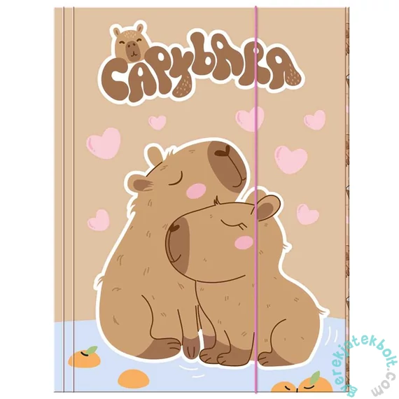 Capybara a/4 gumis mappa - Love (TGA4KB10)