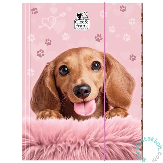 Cleo és Frank kutyás A/4 gumis mappa - Pink (TGA4CF46)