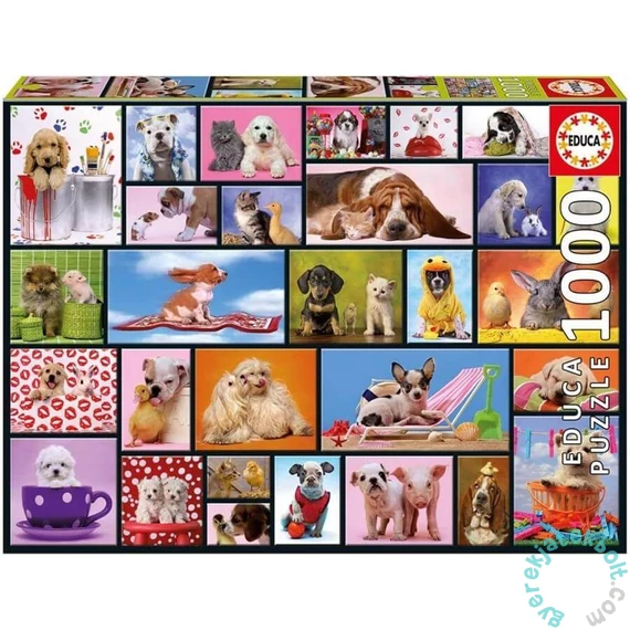 Educa 1000 db-os puzzle - Közös pillanatok (15518)