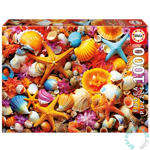 Educa 1000 db-os puzzle - Kagylók (20246)