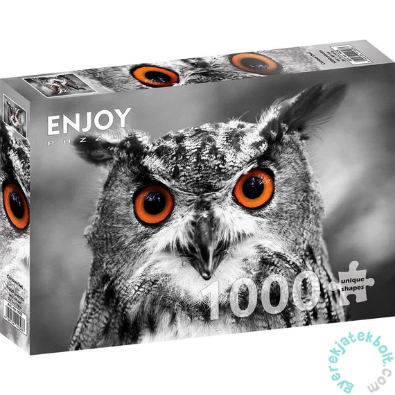 Enjoy 1000 db-os puzzle - Curious Owl (1626)