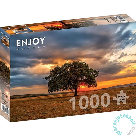 Enjoy 1000 db-os puzzle - Leaves Eclipse (2065)