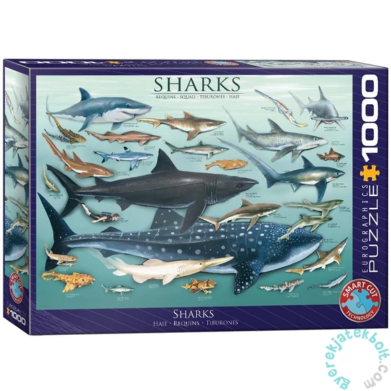 EuroGraphics 1000 db-os puzzle - Sharks (6000-0079)