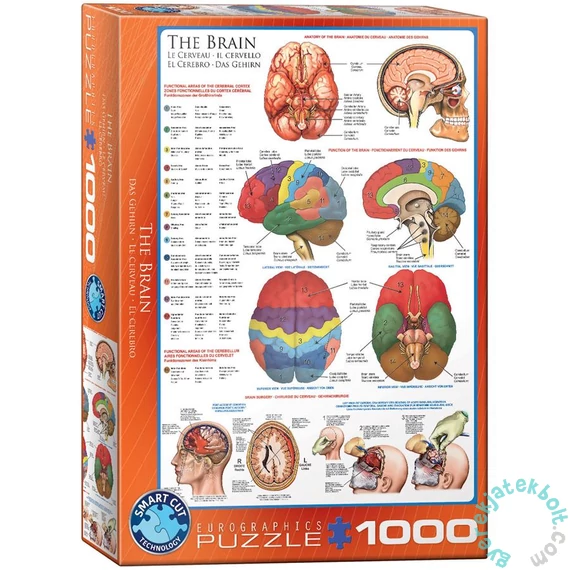 EuroGraphics 1000 db-os puzzle - The Brain (6000-0256)