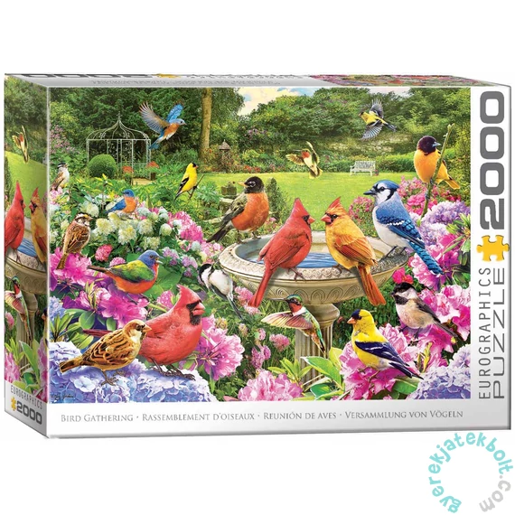EuroGraphics 2000db-os puzzle - Bird Gathering (8220-6134)