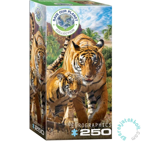 EuroGraphics 250 db-os puzzle - Tigers (8251-5559)