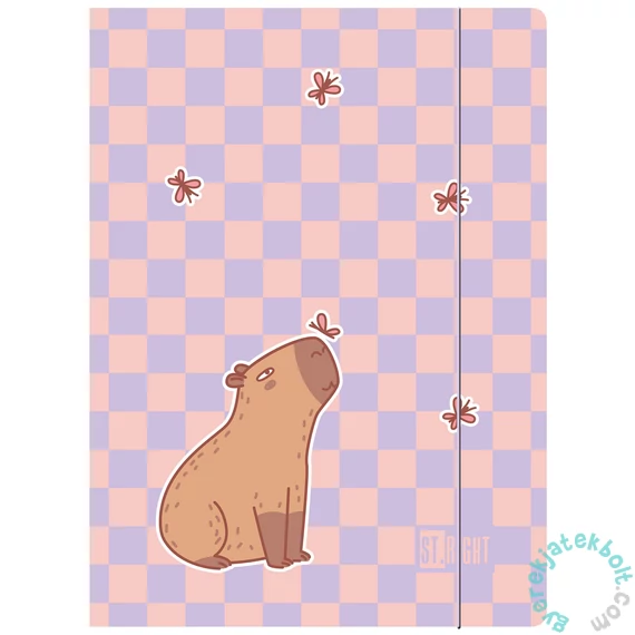 Capybara A/4 gumis mappa - Chill (302930)