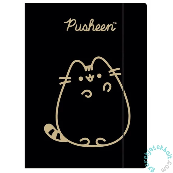 Pusheen cicás A/4 gumis mappa - Gold (675171)