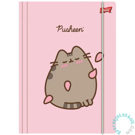 Pusheen cicás A/4 gumis mappa - rózsaszín (682315)