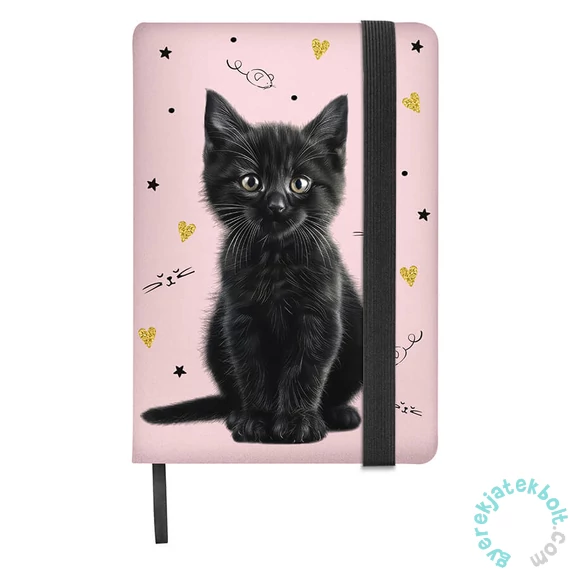 Cicás jegyzetfüzet A5/96 lap - Black Cat (PP26BC-3683)