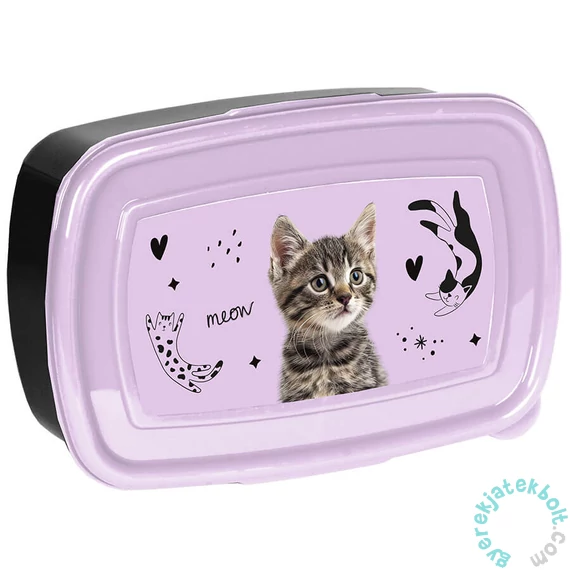 Cicás műanyag uzsonnás doboz - fekete, lila (PP25CE-3022)