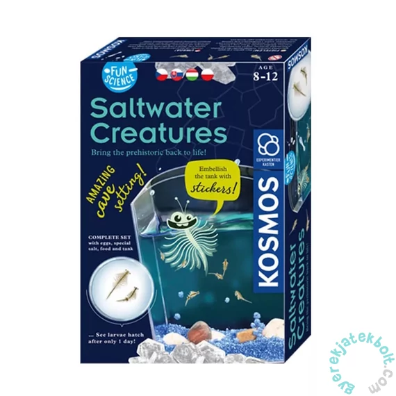 Piatnik - Saltwater Creatures kísérletező készlet
