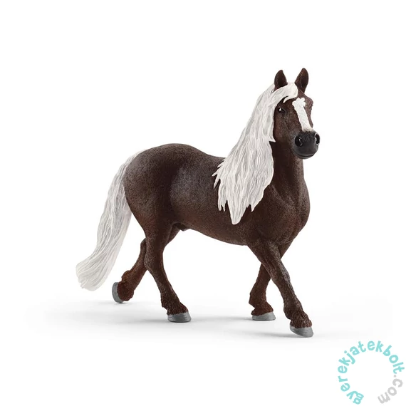 Schleich 13897 Schwarzwaldi mén figura - Farm World