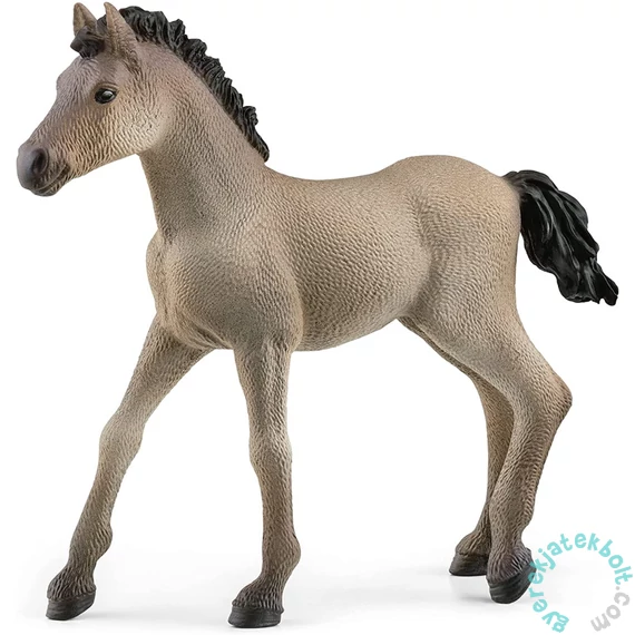 Schleich 13949 Criollo Definitivo csikó figura - Horse Club (SLH13949)