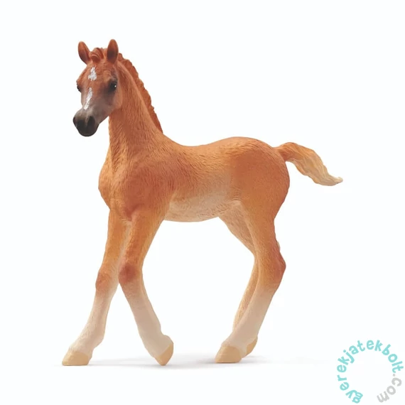 Schleich 13984 Arab csikó figura - Horse Club