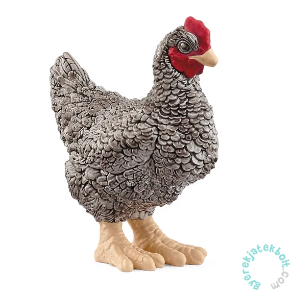 Schleich 13997 Plymouth Rock csirke figura - Farm World