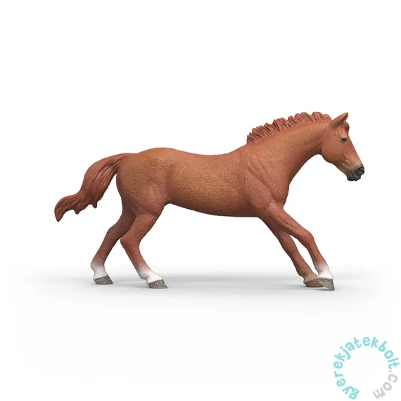 Schleich 14915 Angli Telivér Mén - Horse Club