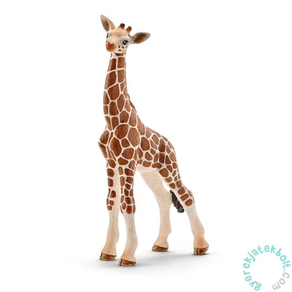 Schleich 14751 Zsiráfborjú figura - Wild Life (SLH14751)