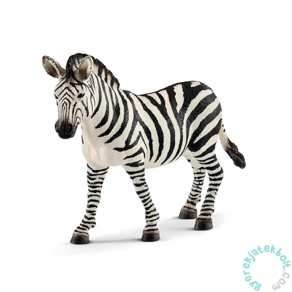Schleich 14810 Zebra kanca figura - Wild Life (SLH14810)