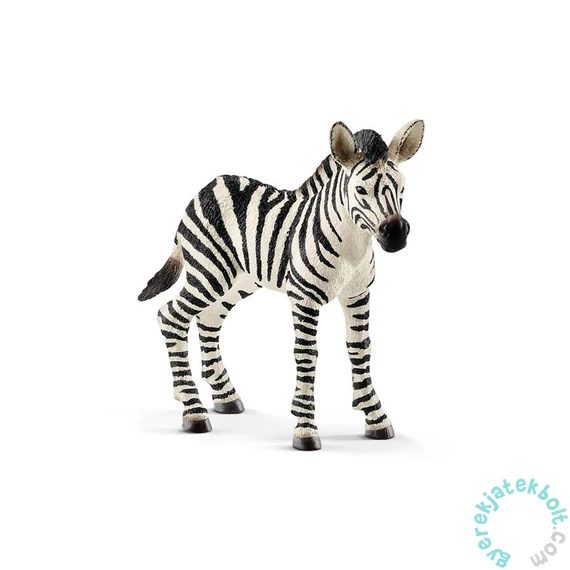 Schleich 14811 Zebra csikó figura - Wild Life (SLH14811)