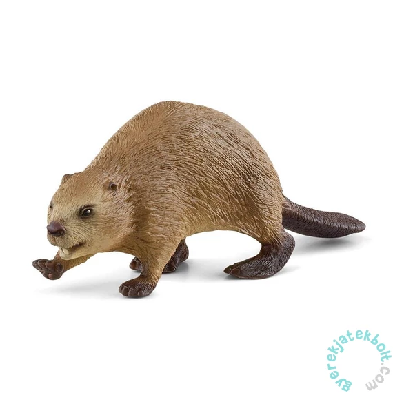 Schleich 14855 Hód figura - Wild Life (SLH14855)
