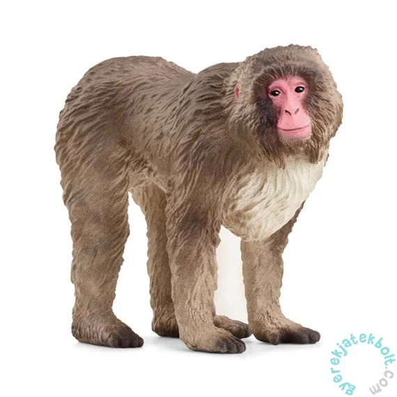 Schleich 14871 Japán Makákó figura - Wild Life (SLH14871)