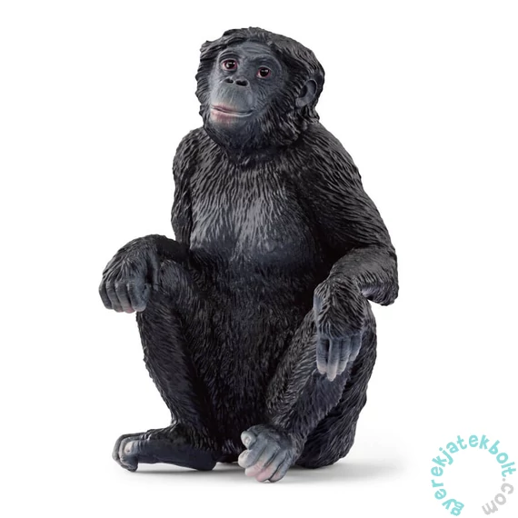 Schleich 14875 Nőstény bonobo törpecsimpánz figura - Wild Life (SLH14875)