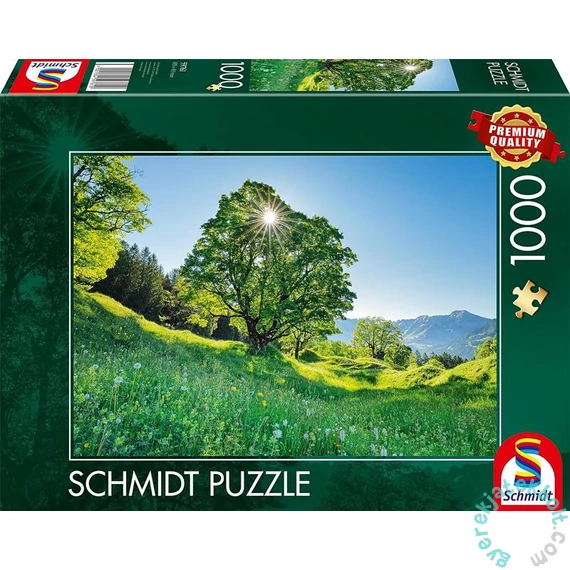 Schmidt 1000 db-os puzzle - Sycamore Maple in the Sunlight, St. Gallen, Switzerland (59761)