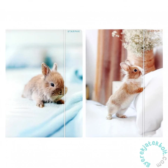 Nyuszis A/4 gumis mappa - kétféle (559727)