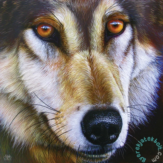 SunsOut 1000 db-os puzzle - Wolf Face - Jurek (58644)