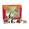 Schleich 42736 Ázsia induló készlet - Wild Life