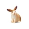 Schleich 72185 Húsvéti nyuszi figura - lila