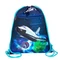 Coolpack - Colorino Vert zsinóros hátizsák, tornazsák - NASA