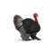 Schleich 13900 Pulykakakas figura - Farm World