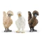 Schleich 42574 Csirkebarátok figurák - Farm World