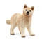 Schleich 14881 Kis sarkvidéki farkaskölyök figura - Wild Life